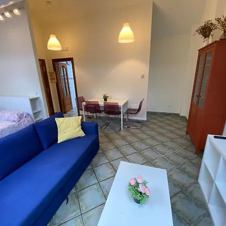 Vista Alegre * 카베존델라살